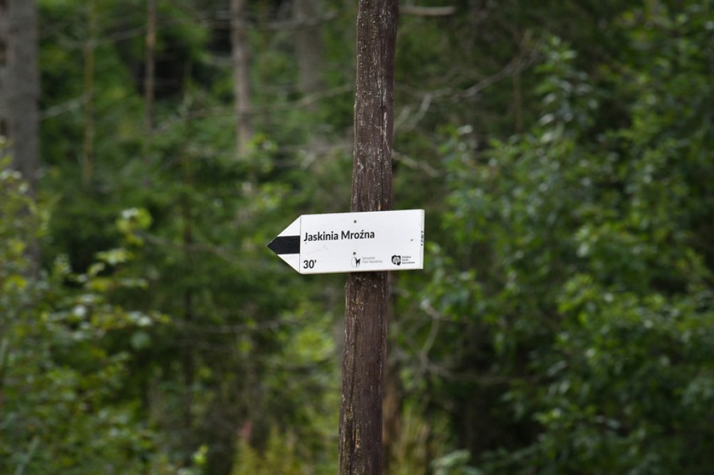Jaskinia Mroźna otwarta po remoncie