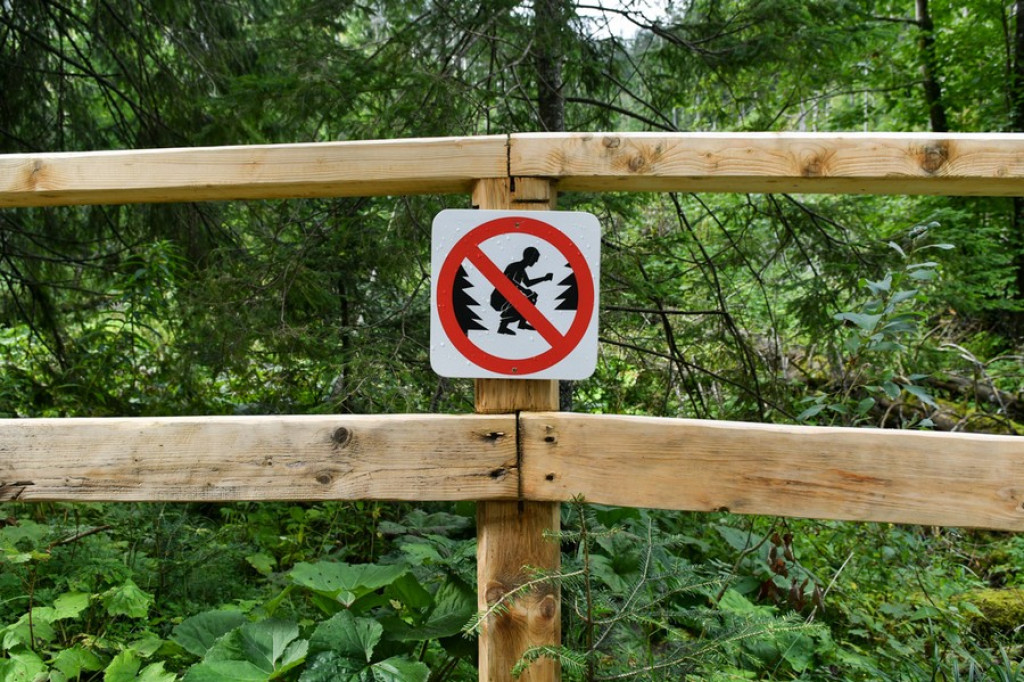 Jaskinia Mroźna otwarta po remoncie