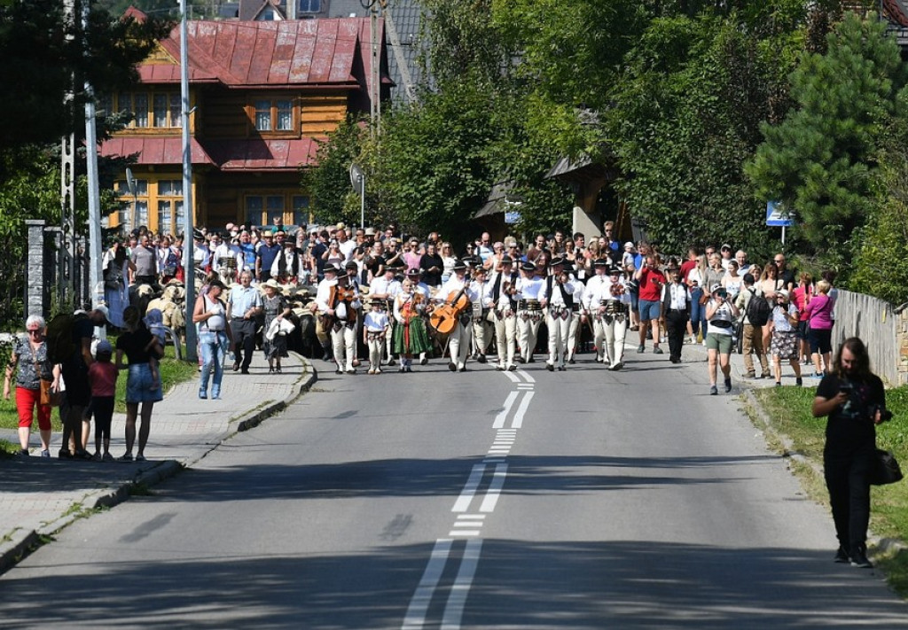 Polaniarski osod w Kościelisku