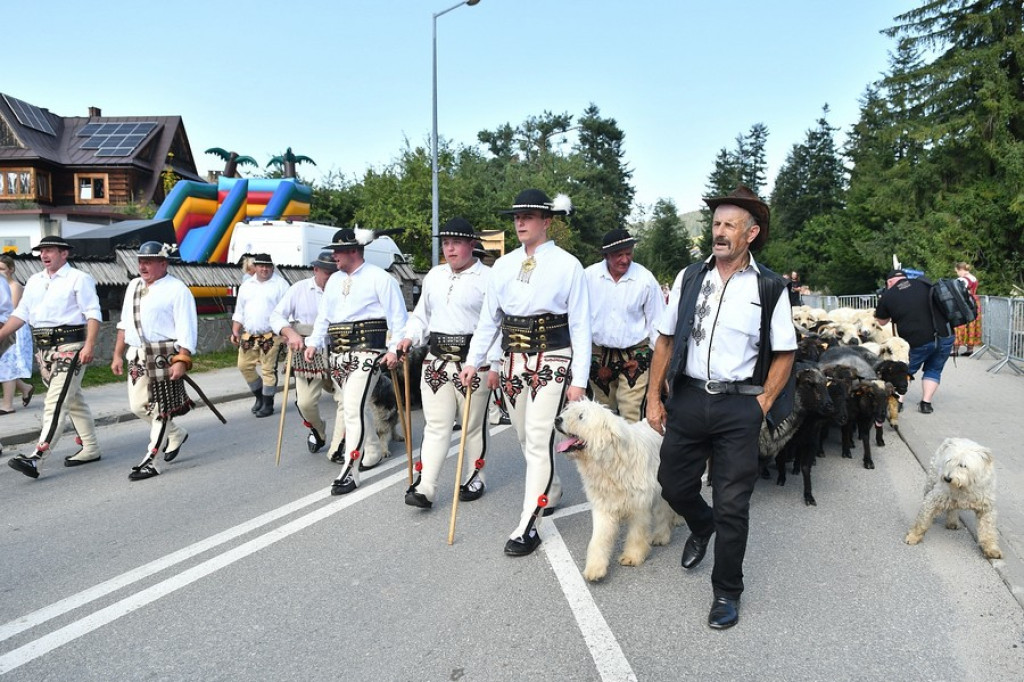 Polaniarski osod w Kościelisku