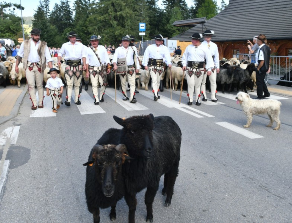 Polaniarski osod w Kościelisku
