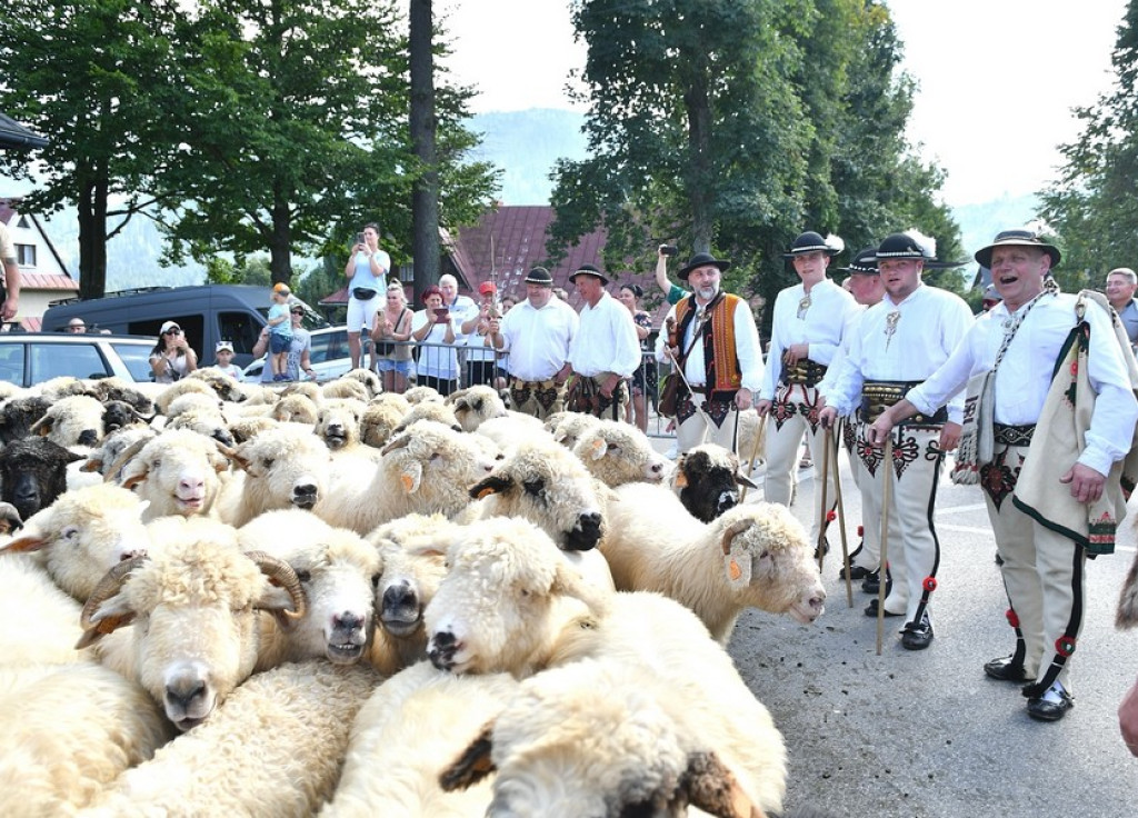 Polaniarski osod w Kościelisku
