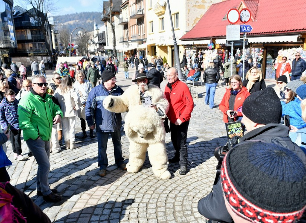 Biały Miś - jeden i tylko jeden, prawdziwy