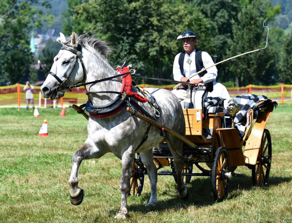 Mistrzostwa Podhala w Powożeniu i Fiakier Roku 2024