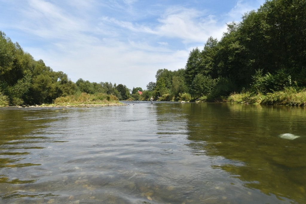 Dzień Pstrąga w Białym Dunajcu, wędkarze na start