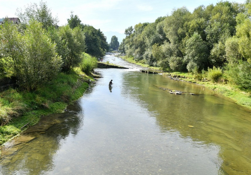 Dzień Pstrąga w Białym Dunajcu, wędkarze na start