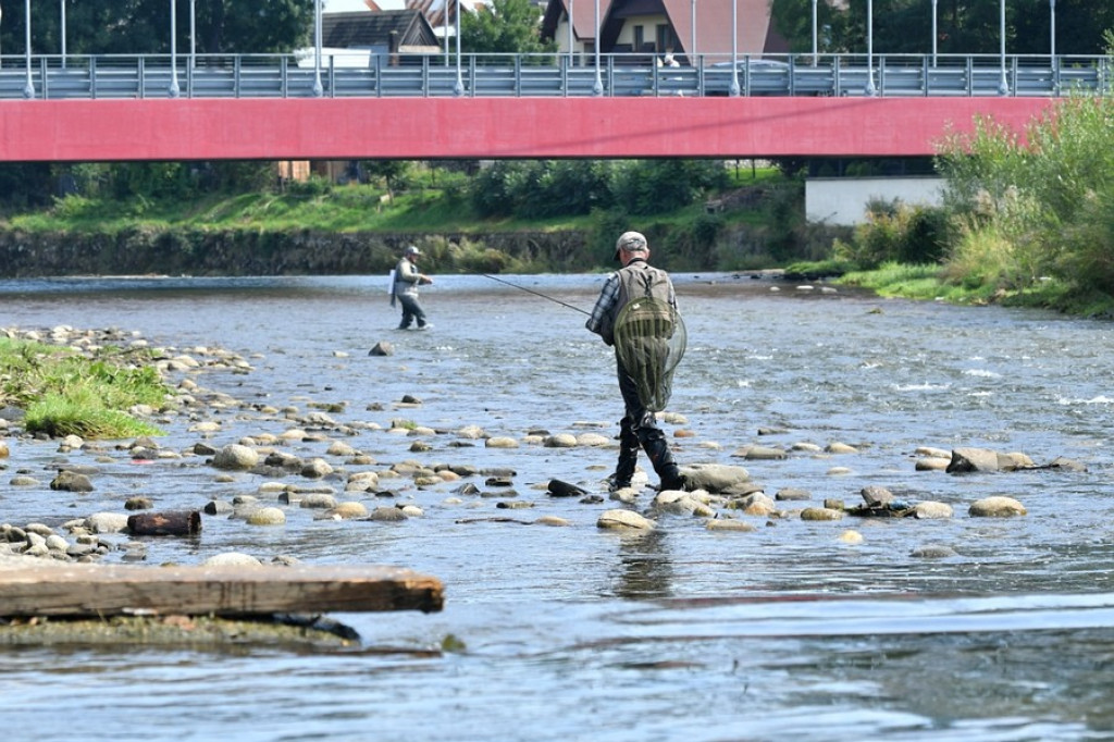 Dzień Pstrąga w Białym Dunajcu, wędkarze na start