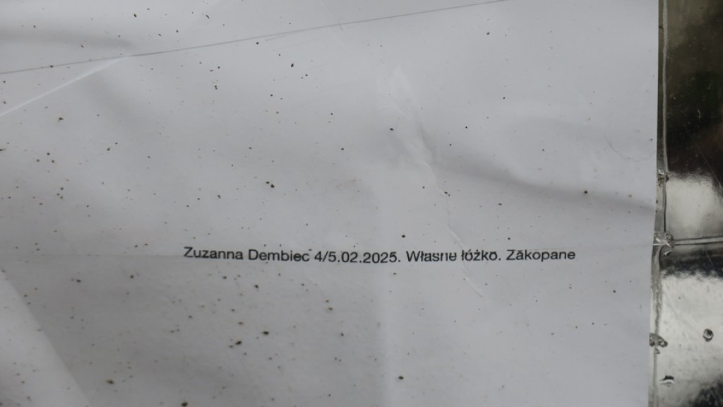 W sąsiedztwie Domu Doktora