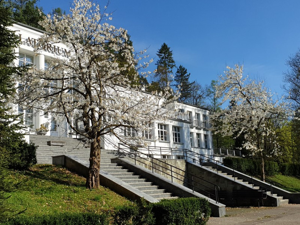 Wiosenna Szczawnica