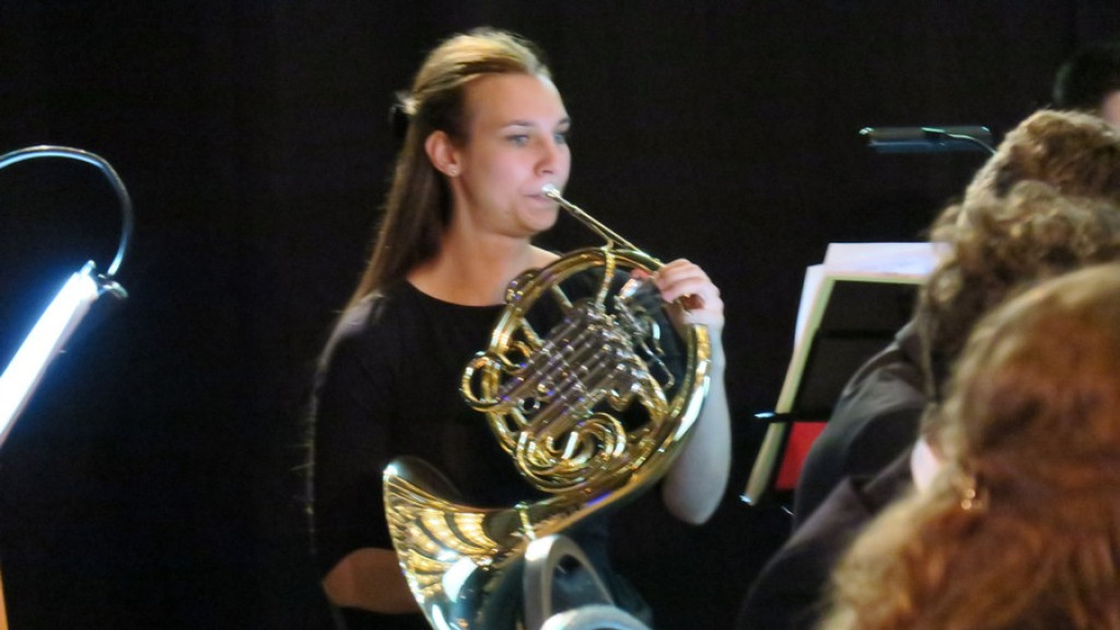 Orkiestra Akademii Beethovenowskiej w Belvedere
