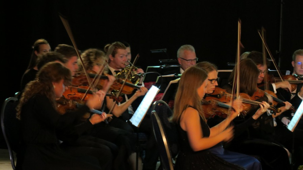 Orkiestra Akademii Beethovenowskiej w Belvedere