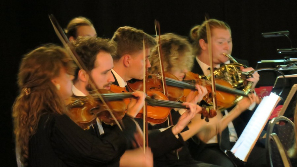 Orkiestra Akademii Beethovenowskiej w Belvedere