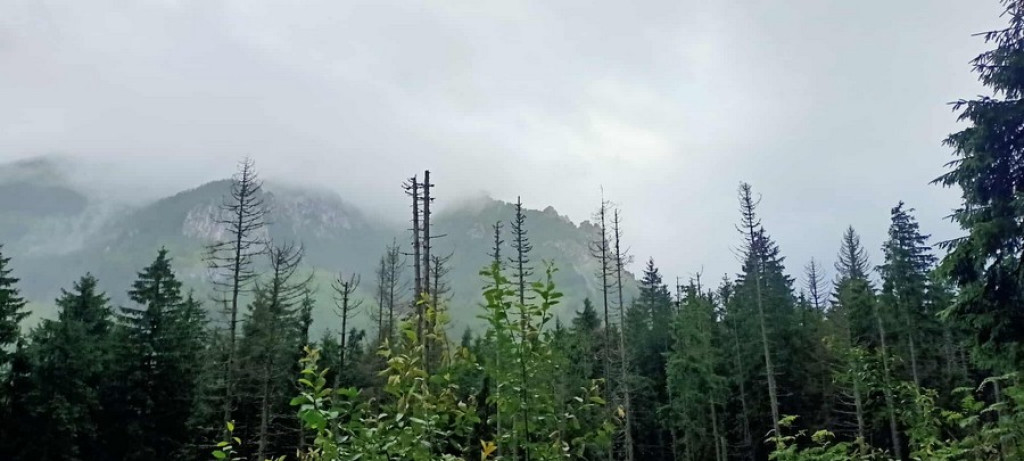 Morskie Oko w deszczu, mgle i chmurach