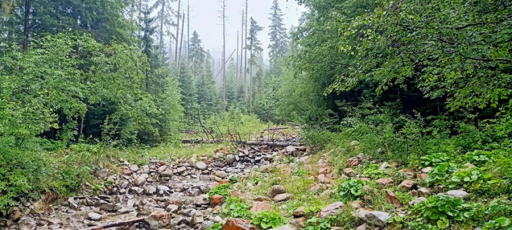 Morskie Oko w deszczu, mgle i chmurach