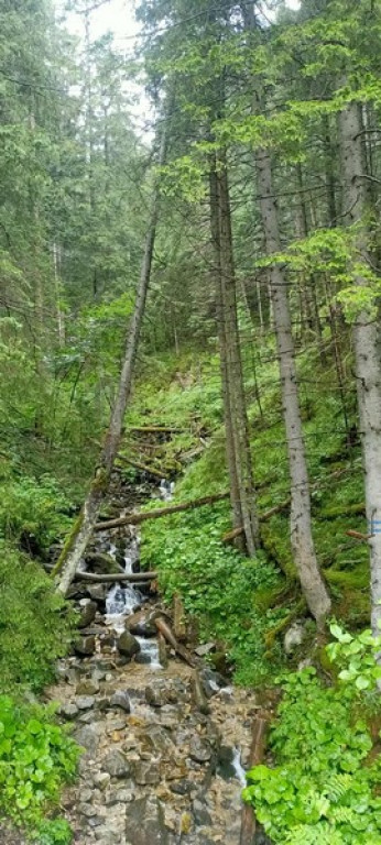 Morskie Oko w deszczu, mgle i chmurach