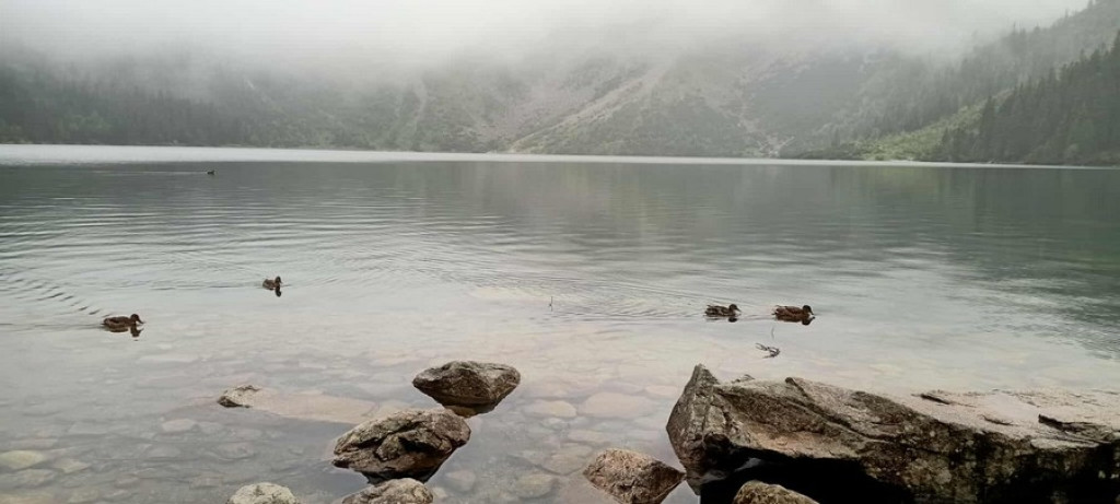 Morskie Oko w deszczu, mgle i chmurach