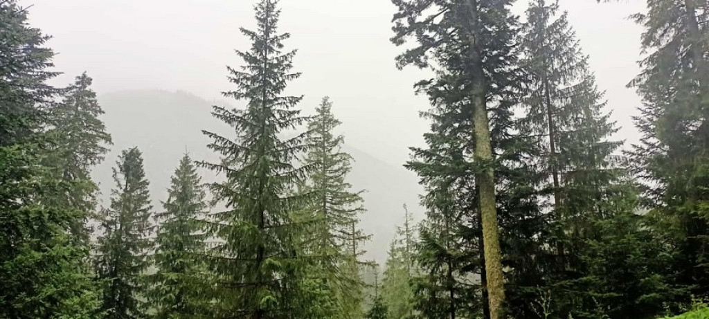 Morskie Oko w deszczu, mgle i chmurach