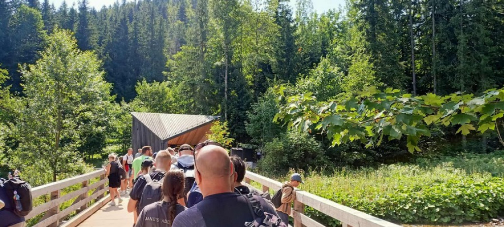 Fioletowo na Hali Gąsienicowej