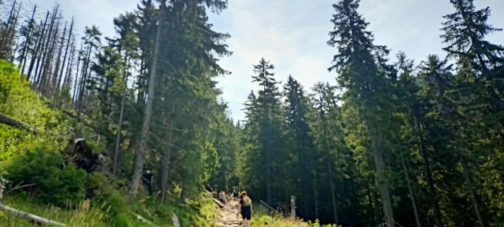 Fioletowo na Hali Gąsienicowej