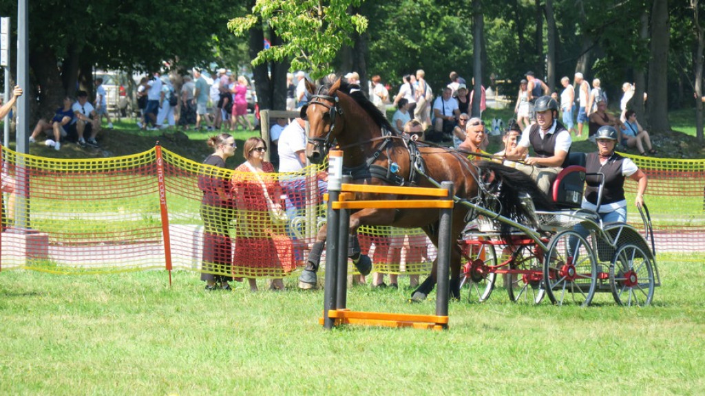 Mistrzostwa Podhala w powożeniu