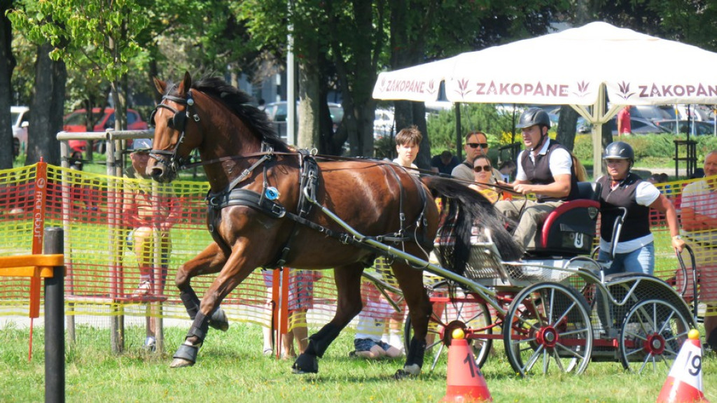 Mistrzostwa Podhala w powożeniu
