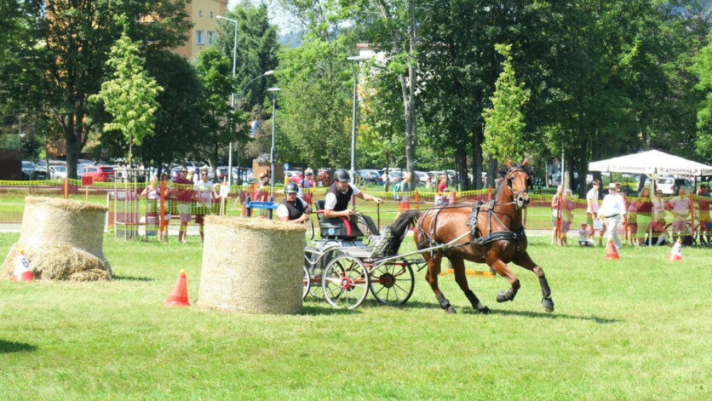 Mistrzostwa Podhala w powożeniu