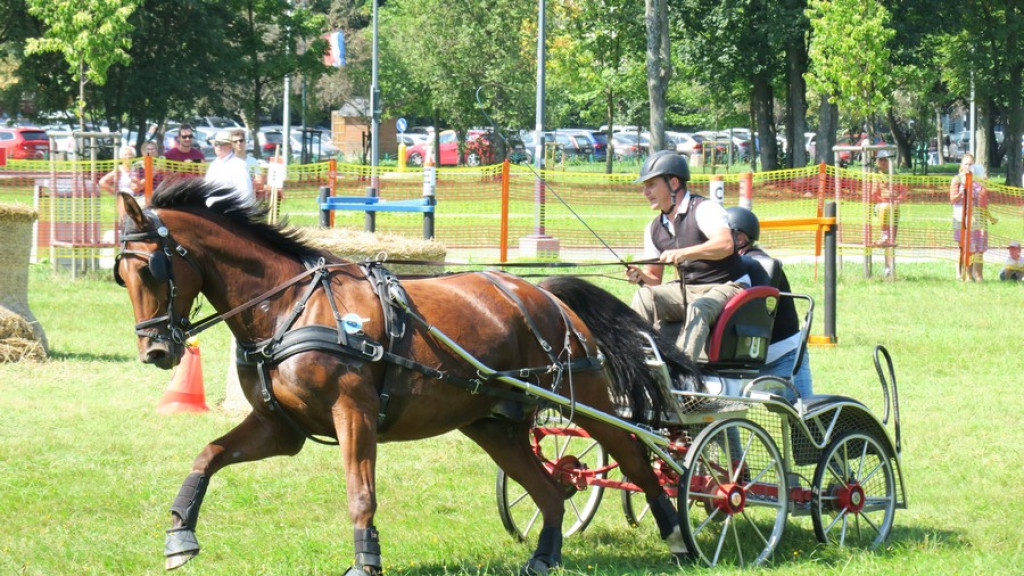 Mistrzostwa Podhala w powożeniu