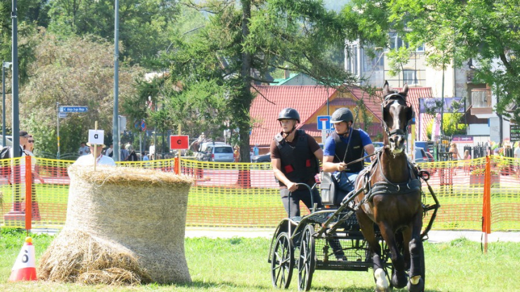 Mistrzostwa Podhala w powożeniu