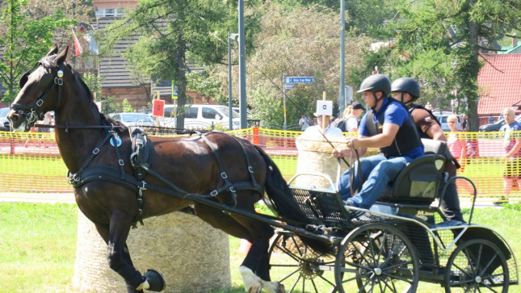 Mistrzostwa Podhala w powożeniu