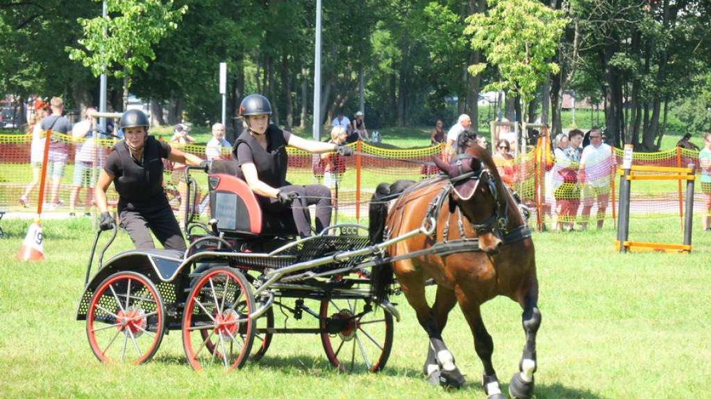 Mistrzostwa Podhala w powożeniu
