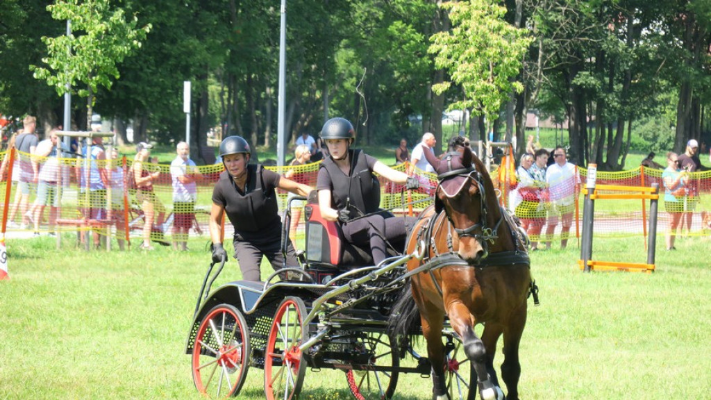Mistrzostwa Podhala w powożeniu