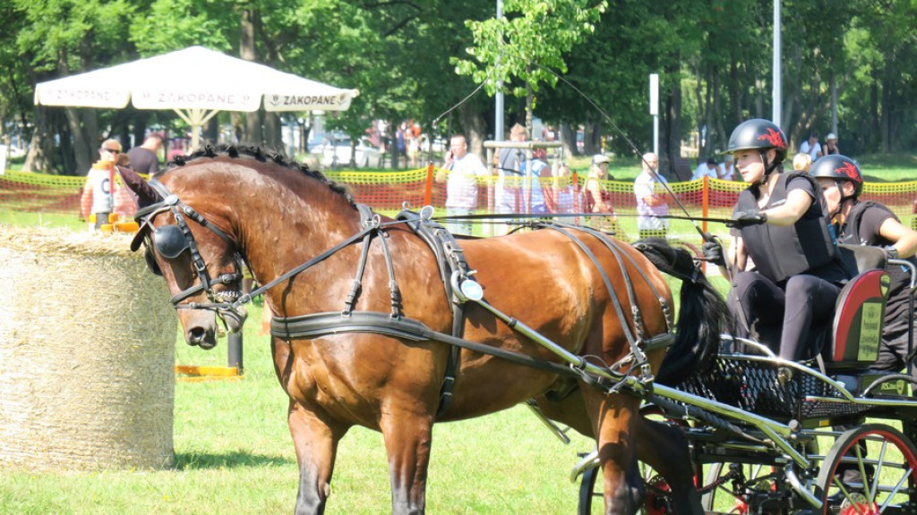Mistrzostwa Podhala w powożeniu