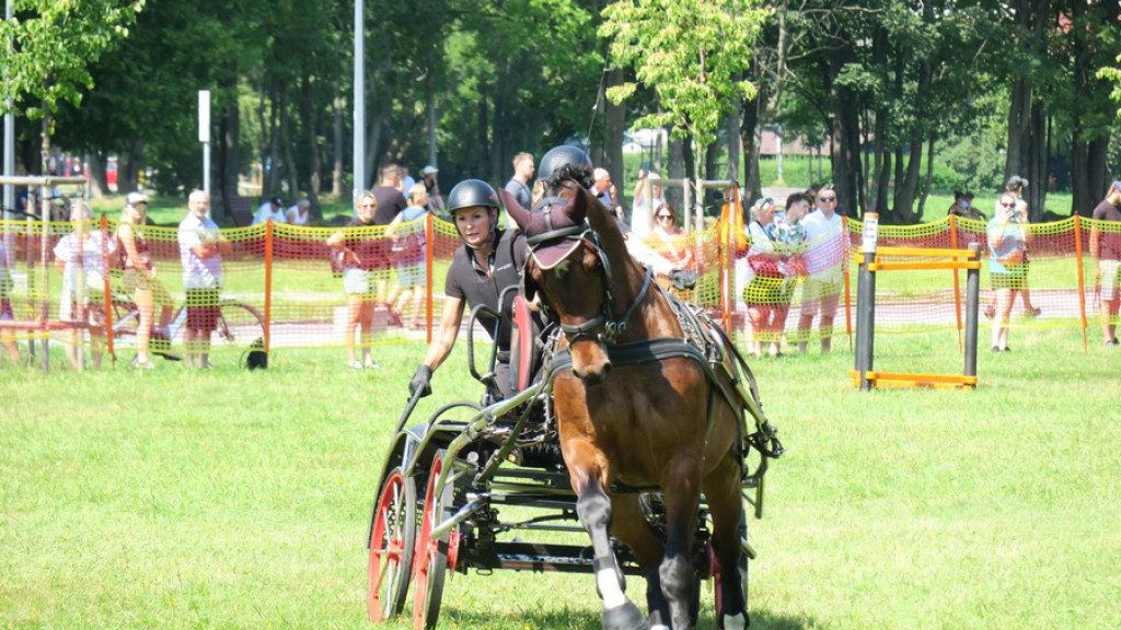 Mistrzostwa Podhala w powożeniu