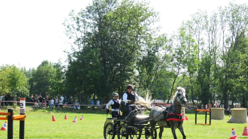 Mistrzostwa Podhala w powożeniu