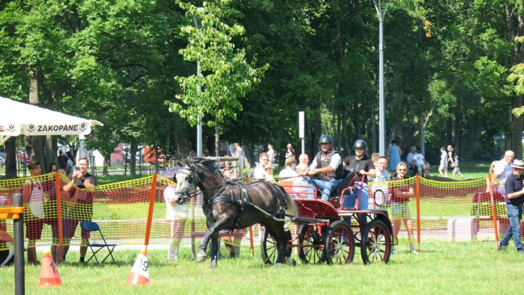 Mistrzostwa Podhala w powożeniu