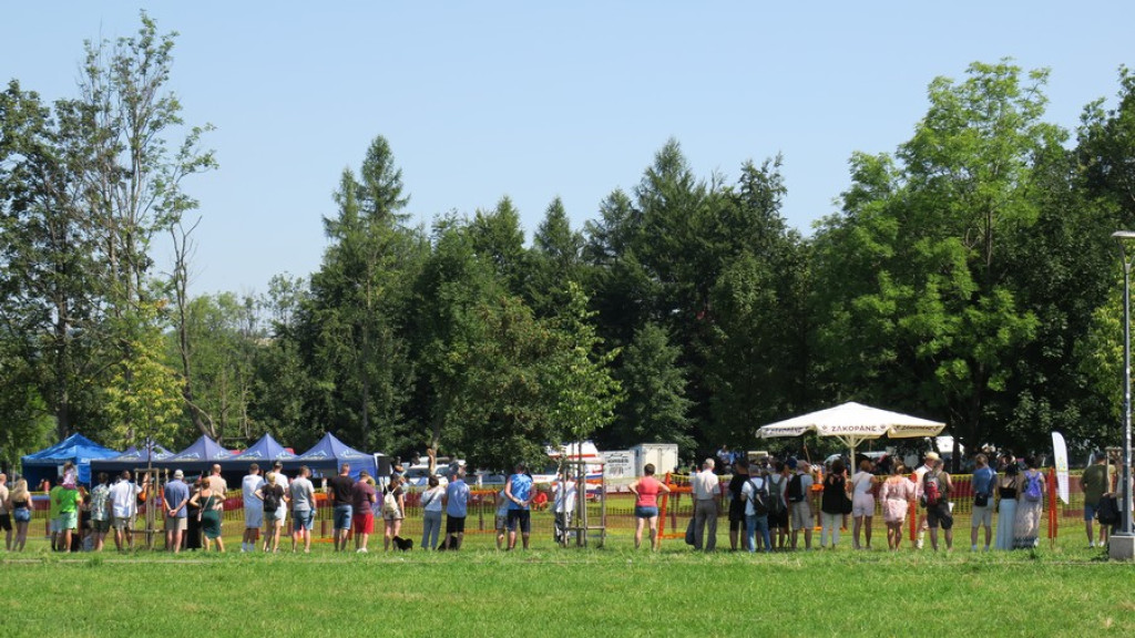 Mistrzostwa Podhala w powożeniu