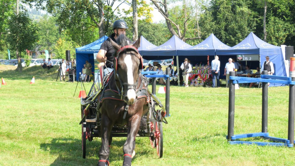 Mistrzostwa Podhala w powożeniu