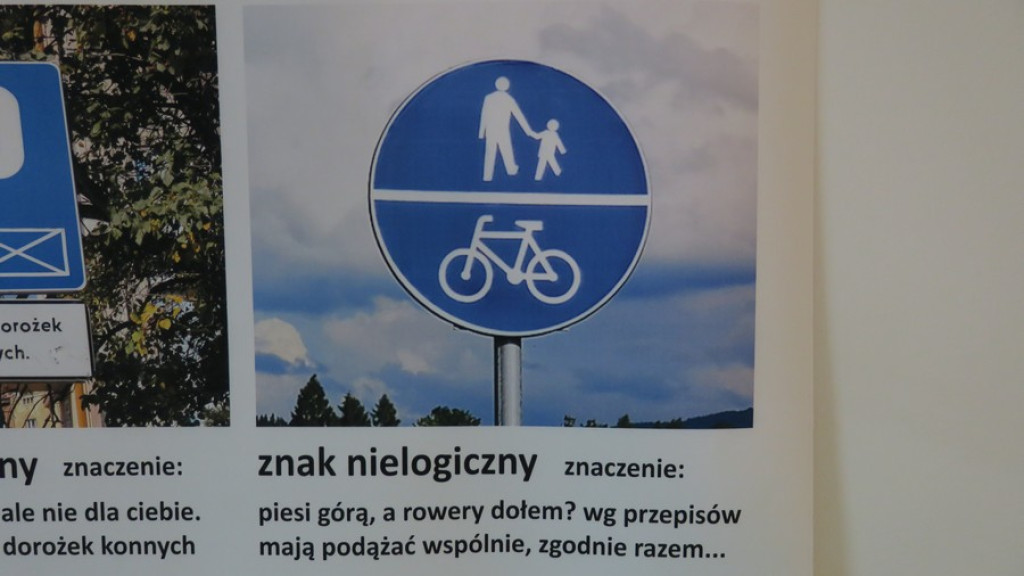 Odkopywanie Zakopanego w Hyrnym