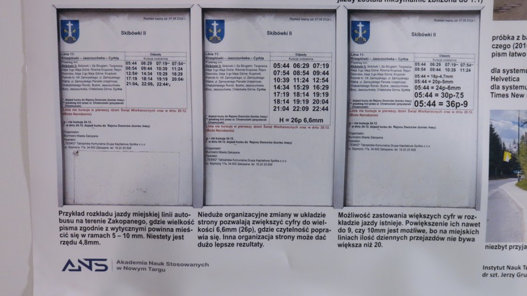 Odkopywanie Zakopanego w Hyrnym