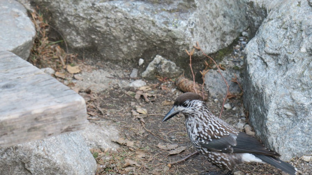 Okno pogodowe nad Morskim Okiem