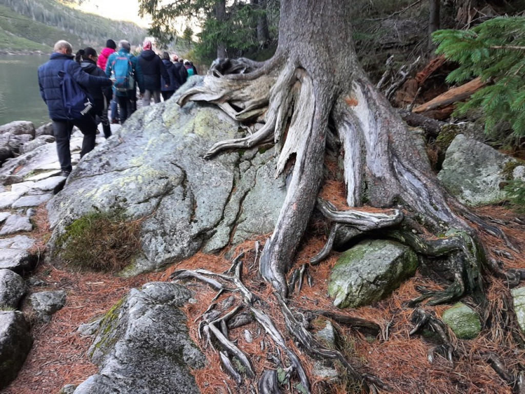 Okno pogodowe nad Morskim Okiem