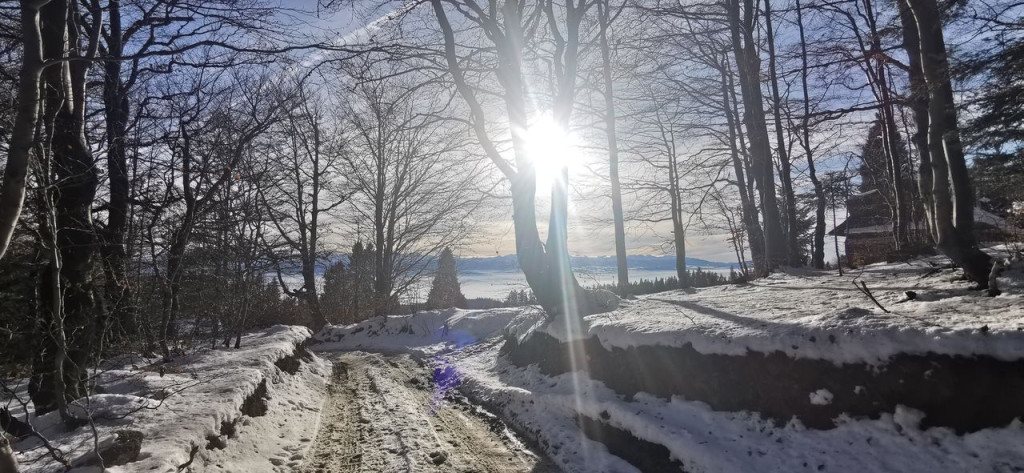 Wychowanie fizyczne na nartach