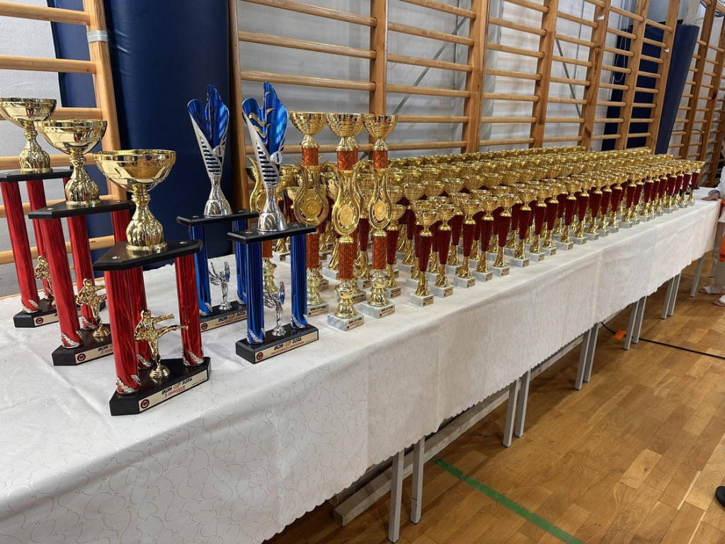 Medalowy Pierwszy Krok wojowników z Czerwiennego