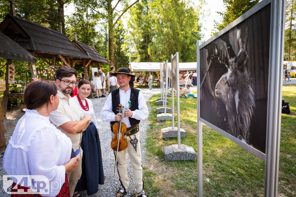 Korowód, taniec na 50 par i koncert Golec uOrkiestry.