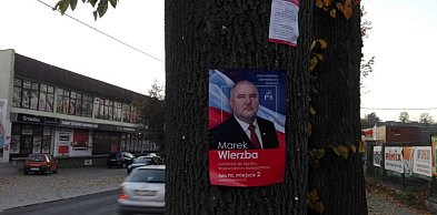 Powiesili Wierzbę za poślednie ziobro