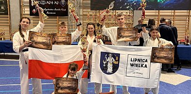 Mistrzowskie tytuły dla lipnickich karateków