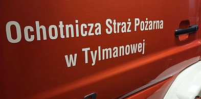 Druhowie usuwali gniazdo szerszeni