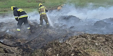 Pożar siana i zarośli