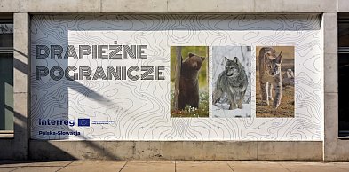 Poszukiwane miejsce na mural z drapieżnymi zwierzętami
