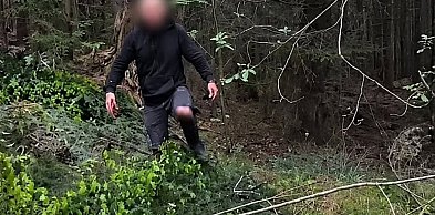 Kradli gałęzie jodłowe, nakryła ich straż leśna
